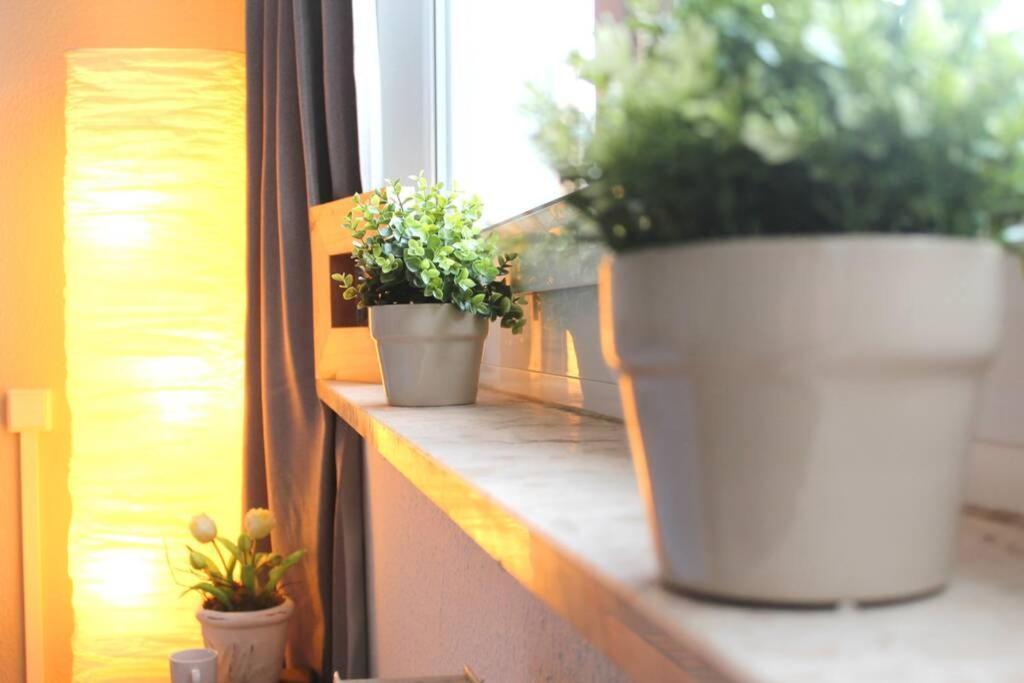 Apartment Bella Κέμνιτς Εξωτερικό φωτογραφία